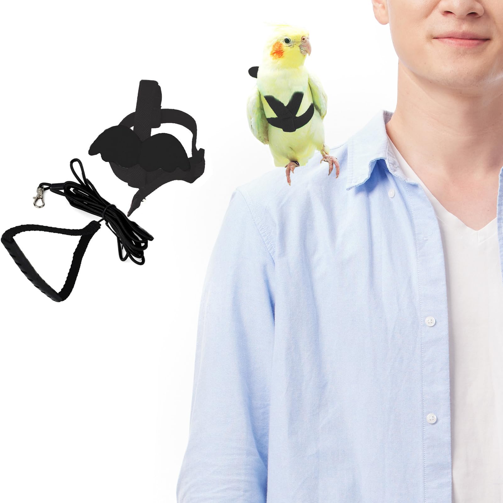 **Adjustable Bird Leash & Harness for Small Parrots - Soft Nylon Cockatiel Harness with Cute Wing Design - Safe & Comfortable for Quaker Parrots, Amazon Parrots & Similar Birds - Perfect for Outdoor Walking, Park Visits & Travel - Great for Training, Bonding & Outdoor Activities - Ideal for Bird Shows, Backyard Play & Vet Visits - Best for Daily Walks & Exploration - Perfect for Travel & Adventures with Your Feathered Friend - Use for Safe Outdoor Play, Training & Vet Appointments**