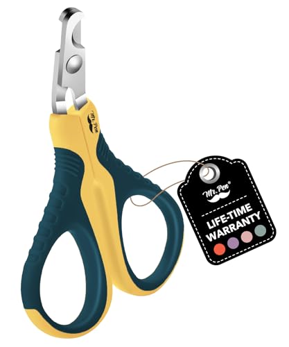 Yellow/Dark Teal