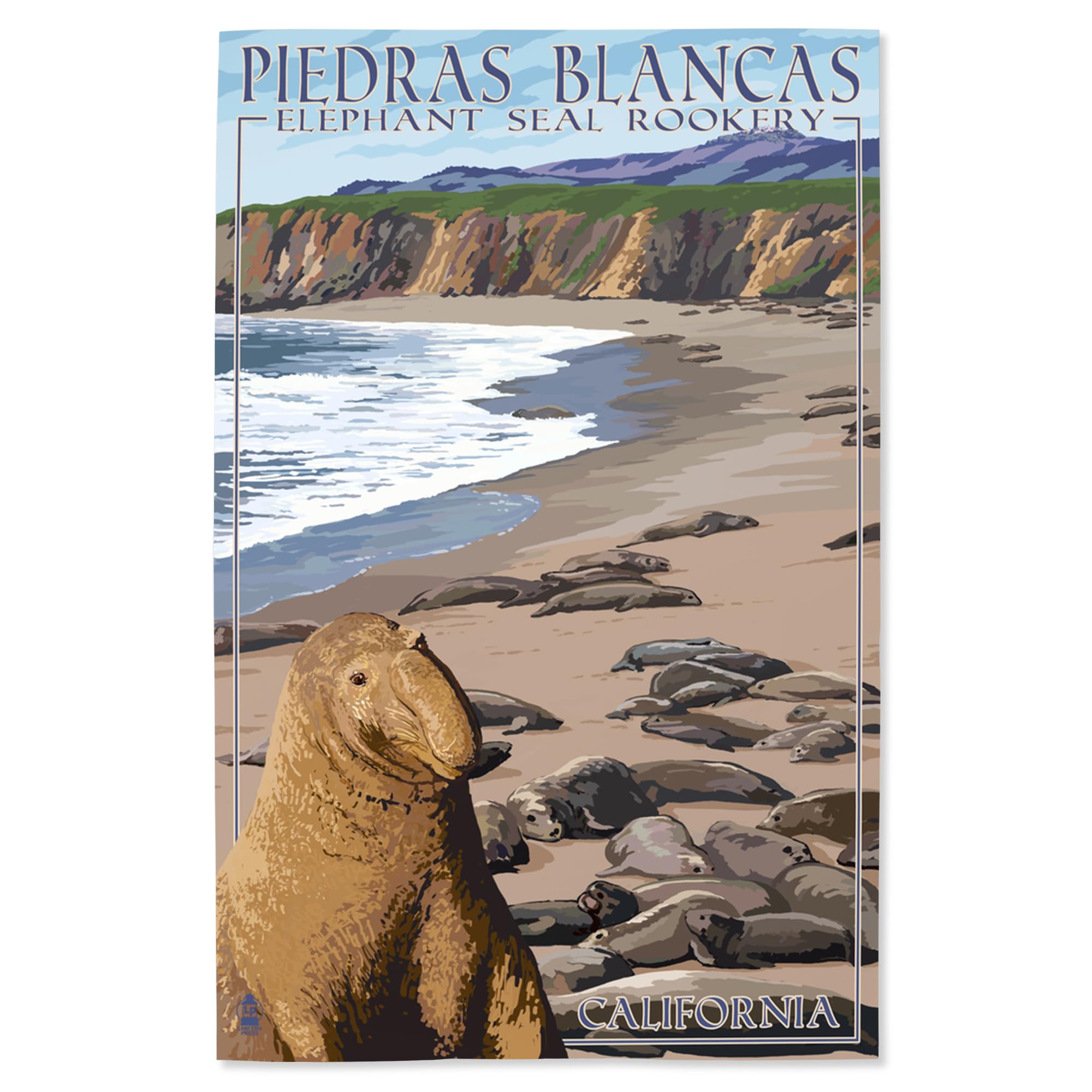 Lantern Press 16x24 Inch Giclee Art Print - California Coastal Landscape with Piedras Blancas Elephant Seals | Premium Wall Decor for Living Room, Office & Beach House