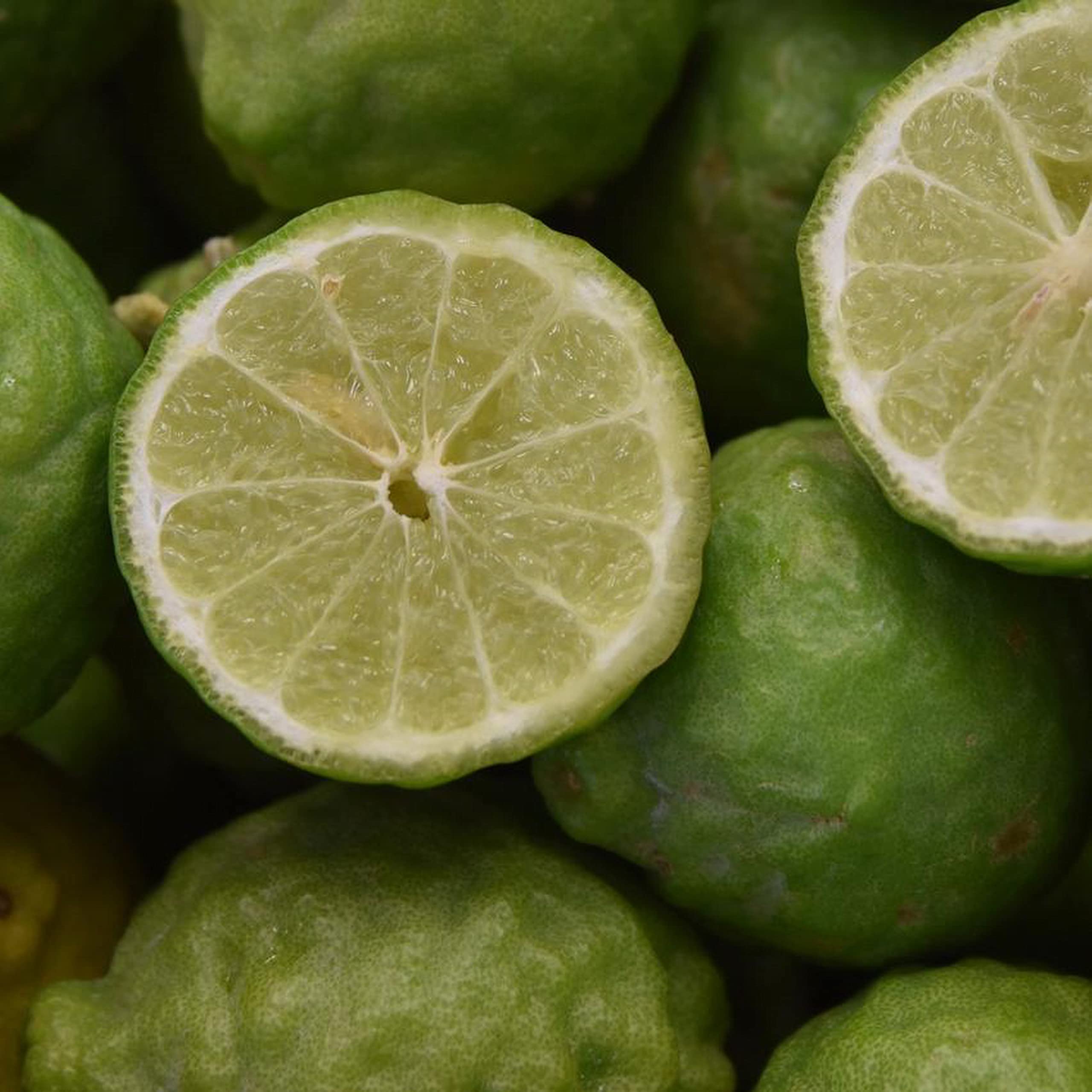 Grafted Semi-Dwarf Kaffir Lime Tree (Thai Makrut) - Fresh Citrus for Thai Cooking, Cocktails & Home Gardening