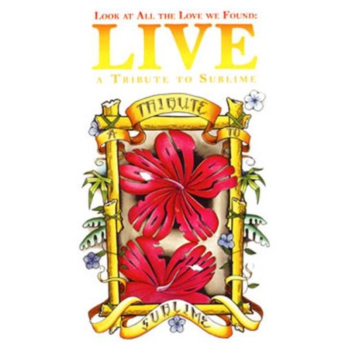 Look at All Love We Found: Tribute to Sublime (Clean Version) - Perfect for Parties, Gifts & Music Lovers