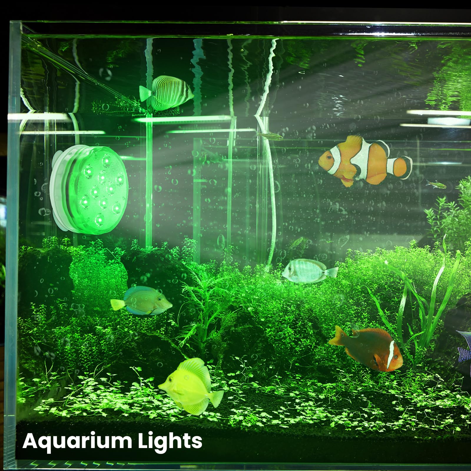 Rechargeable Submersible LED Lights with Remote Control - USB Color Changing Aquarium Lights with Magnetic Suction Cups - Waterproof Underwater Pool Lights for Inground Pools, Showers & Hot Tubs - Perfect for Aquariums, Ponds, Spas and Night Swimming (2 Pack)