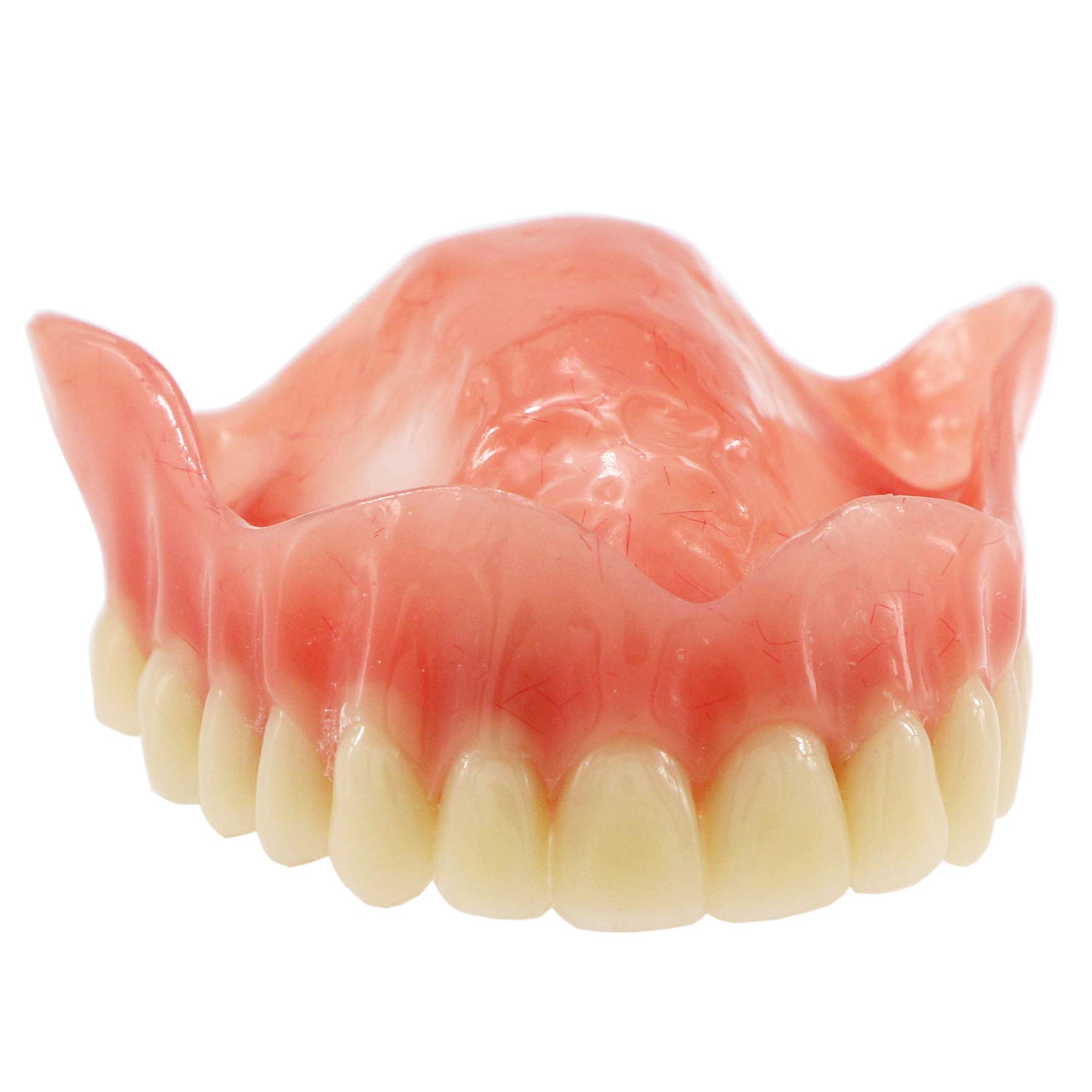 Dental Implant Typodont Model M6001 - Pink Upper Jaw Overdenture with 4 Implants for Superior Restoration | Ideal for Dental Students, Teaching & Clinical Practice