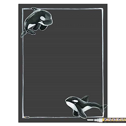 Killer Whale With 1 White Marker