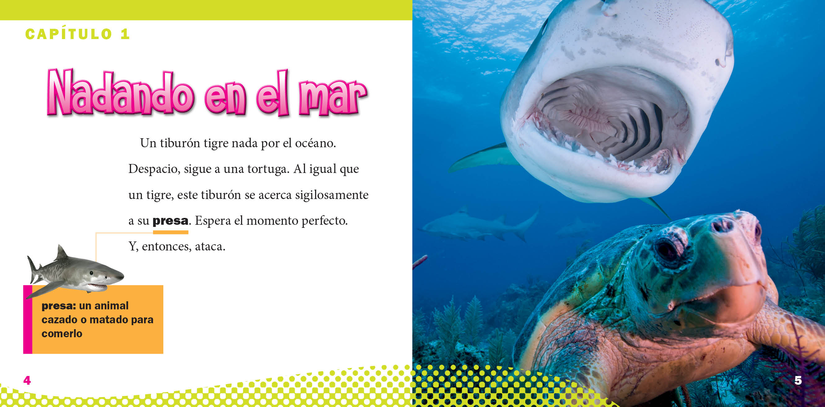 Tiger Shark Toy - Realistic Ocean Animal Figure for Kids - Perfect for Playtime, Education & Collectibles - Great for Birthday Gifts & Classroom Learning Activities