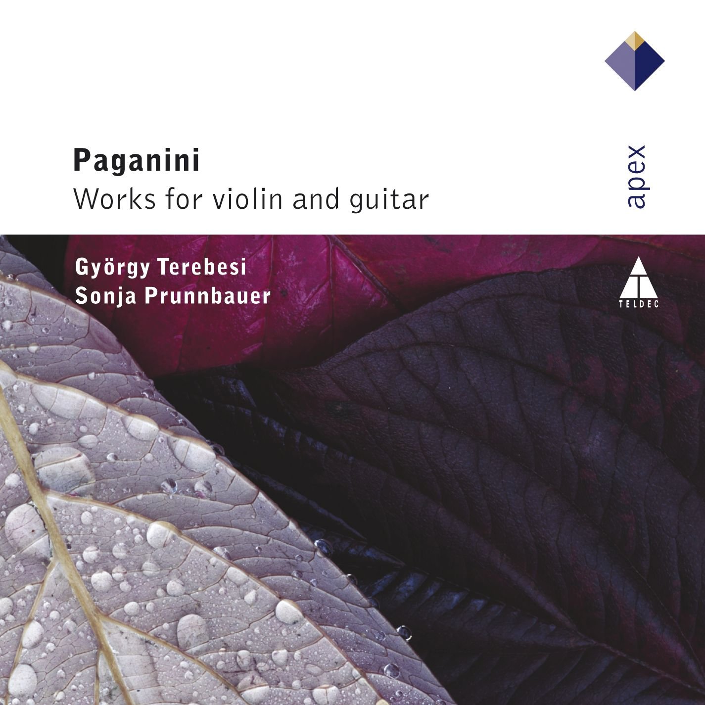 Premium Violin & Guitar Accessories - Strings, Cases & Stands for Musicians | Perfect for Practice, Performances & Studio Sessions
