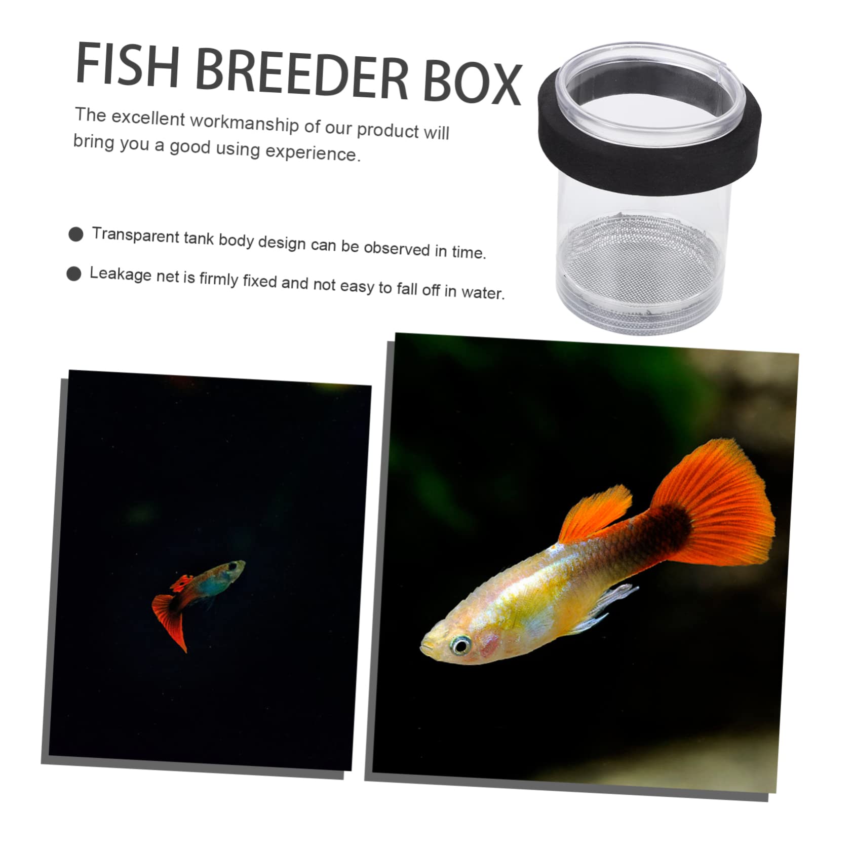 Floating Fish Breeding Box - Aquarium Hatchery Incubator for Fish Tank, Fishbowl & Aquatainer | Ideal for Hatching, Breeding & Isolating Fish | Perfect for Home Aquariums & Fish Farms