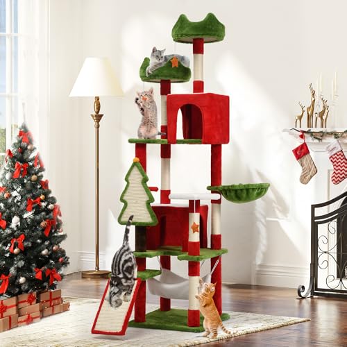 Chrismas Color
