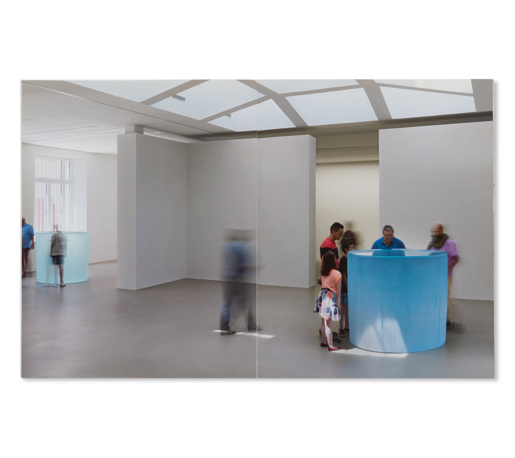 Butterfly to Oblivion by Roni Horn - Contemporary Art Book for Collectors & Photography Enthusiasts | Perfect for Home Decor & Art Lovers