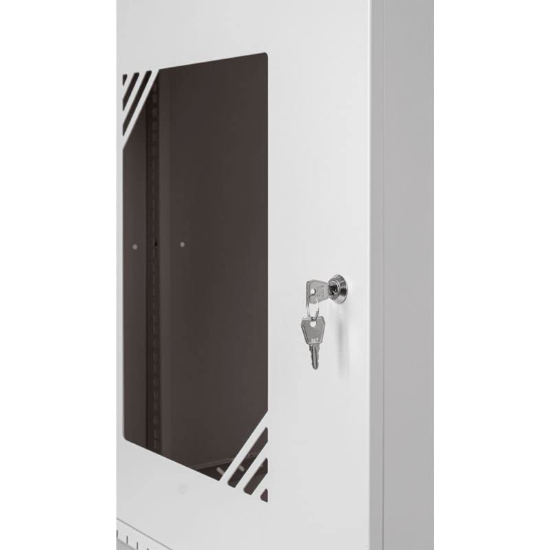 19U Heavy Duty Steel Server Rack Cabinet - 19 Inch Network Equipment Rack with Tempered Glass Door (450mm Depth) - Compatible with Rack Shelves & Rails - Perfect for Data Centers, Server Rooms & Network Closets