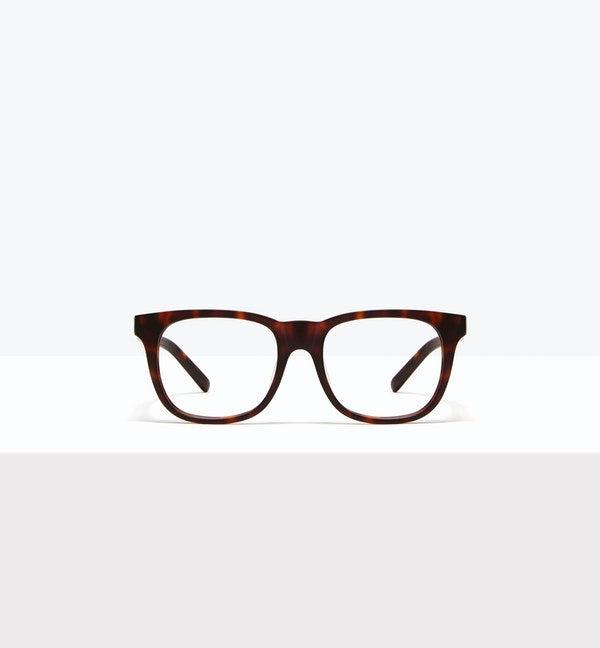 Matte Tortoise