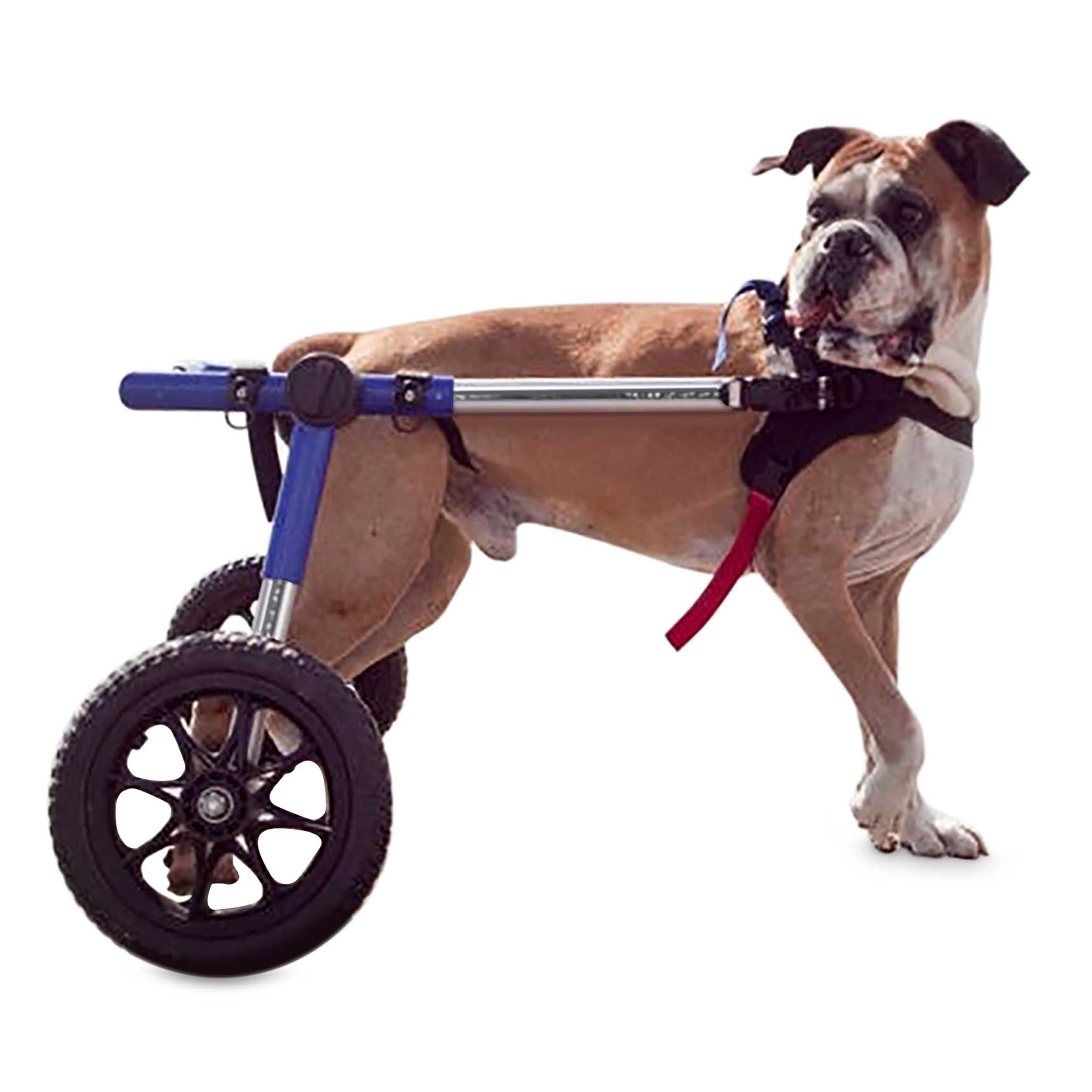Walkin' Wheels Dog Wheelchair for Large Dogs 70-180 lbs - Vet Approved Rear Leg Support - Adjustable Pet Mobility Aid for Disabled & Injured Dogs - Perfect for Daily Walks, Rehabilitation & Outdoor Adventures