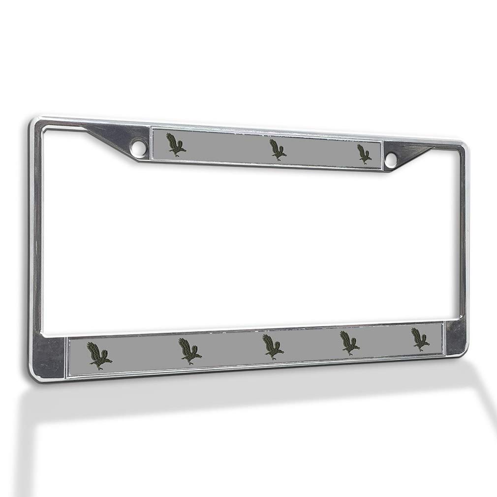 Premium Metal License Plate Frame with Solid Insert - Weatherproof, Chrome Plated, 2 Hole Design - Durable Car Accessories for All Vehicles - Perfect for Daily Commute, Road Trips & Car Shows