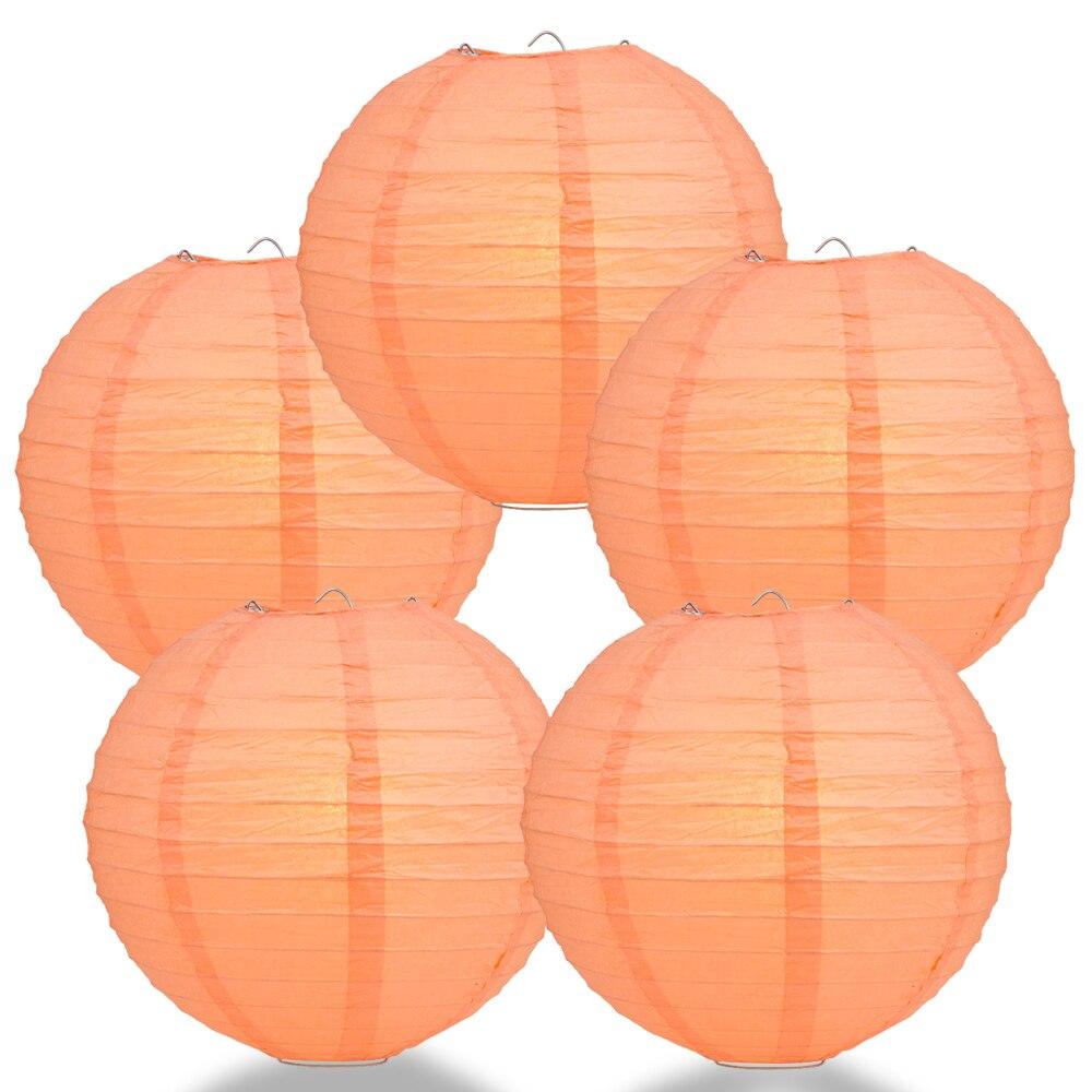 5-Pack 24