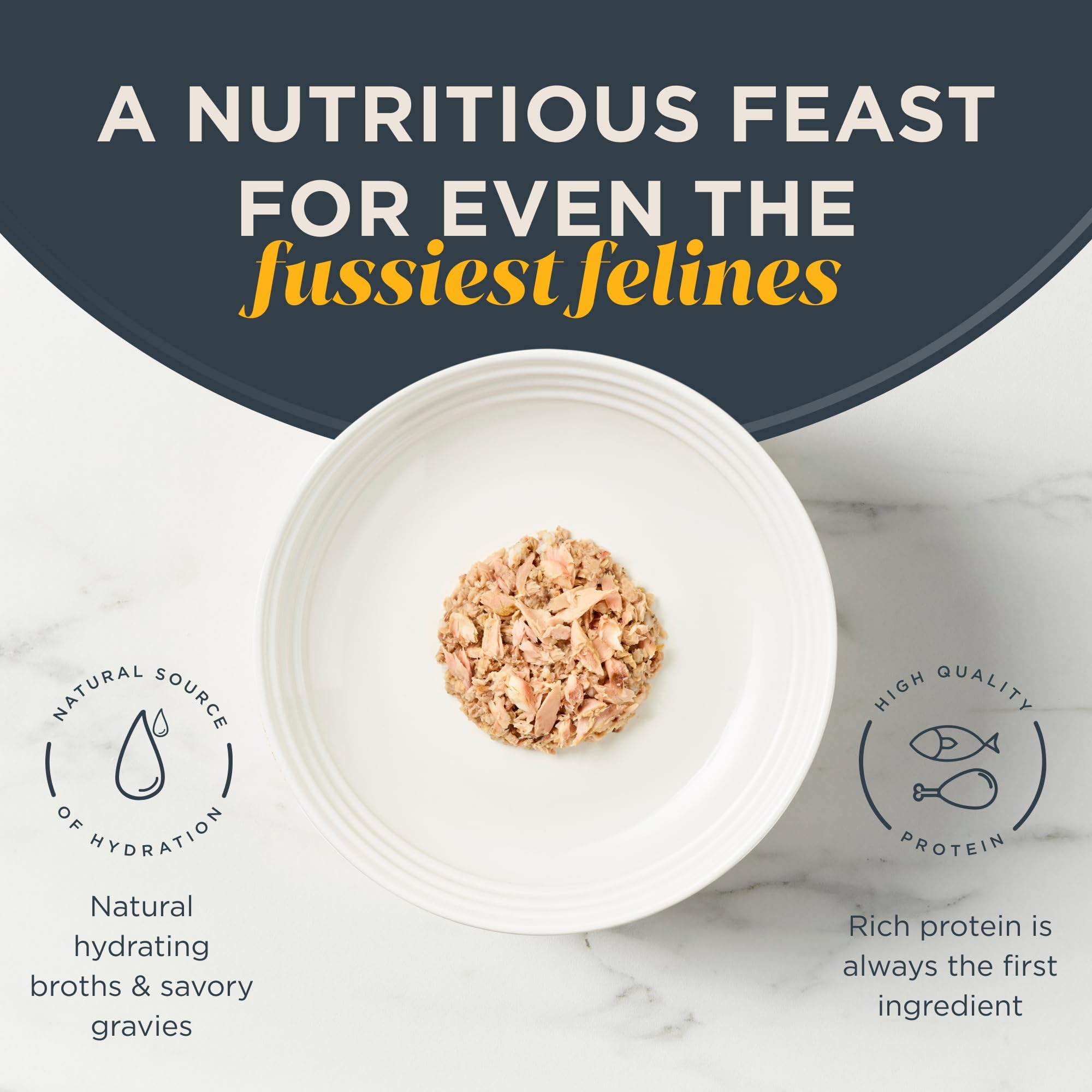 Reveal Grain Free Wet Cat Food - Limited Ingredient Canned Cat Food with Ocean Fish in Broth - 24 Pack of 2.47 oz Cans - Healthy Natural Cat Treat for Indoor & Outdoor Cats - Perfect for Picky Eaters & Sensitive Stomachs