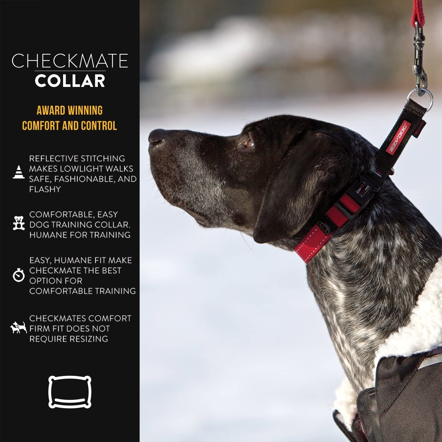EzyDog Checkmate Martingale Dog Collar - Premium Nylon No-Choke Training Collar for Small Dogs (Red) | Perfect for Walking, Training & Behavior Control