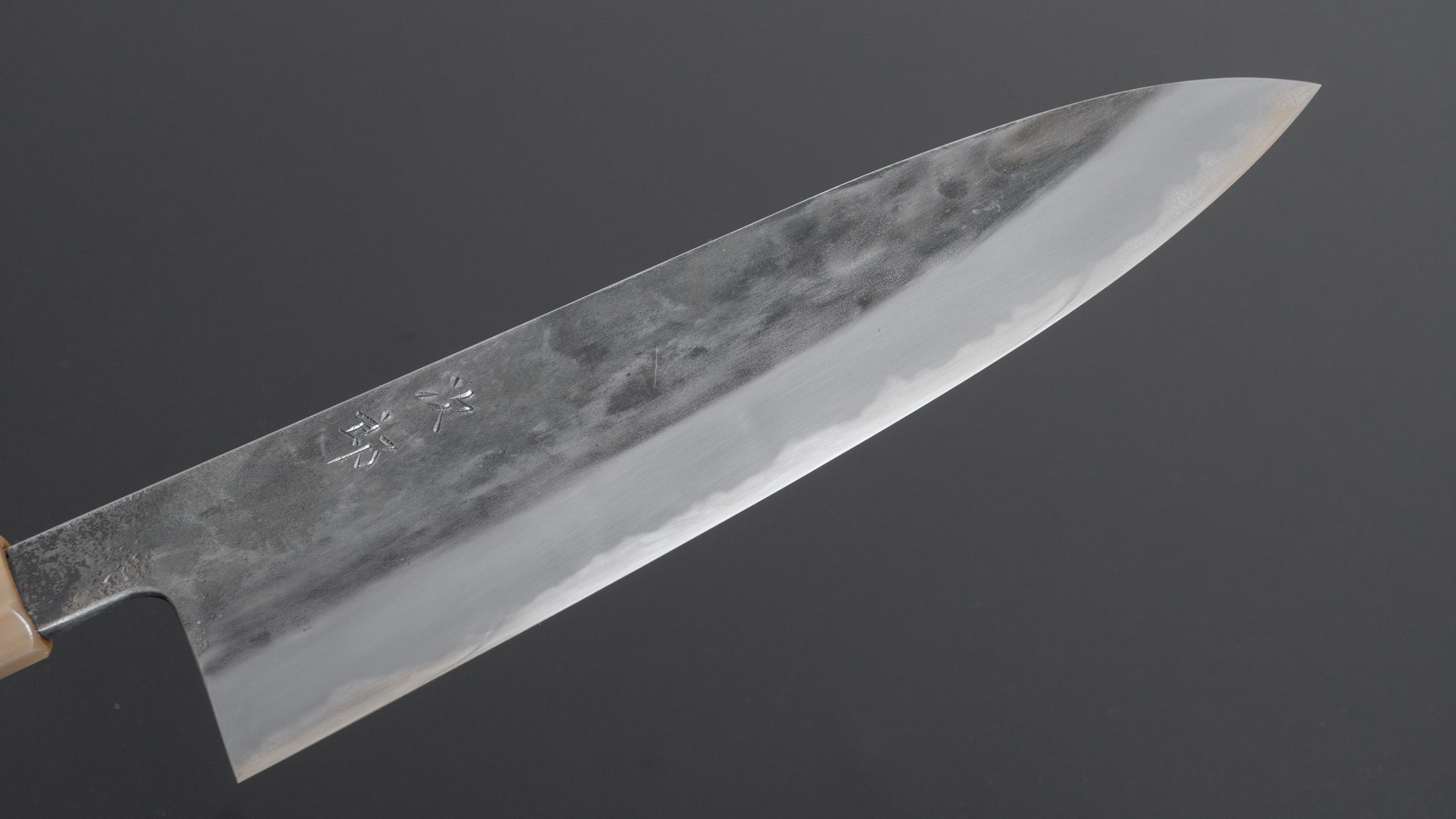 Premium Jiro Tsuchime Wa Gyuto 255mm Japanese Chef Knife with Taihei Tagayasan Handle (#189) - Perfect for Sushi, Sashimi & Precision Cutting in Professional Kitchens & Home Cooking