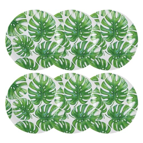 Monstera