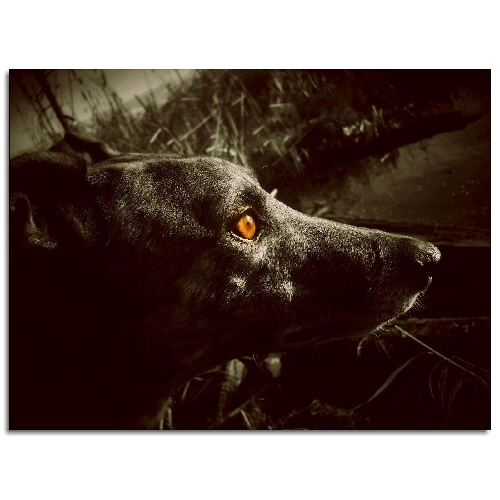 Black Dog Racing Canvas Wall Art - 32x24 Inch Framed Office Decor Poster for Home & Office - Perfect for Living Room, Bedroom, or Workspace Decorations