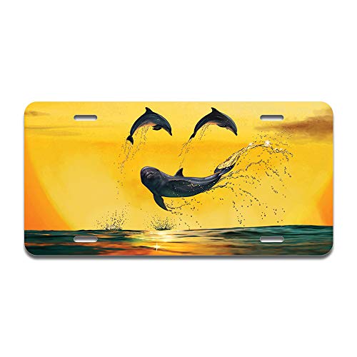 Dolphin Smiley