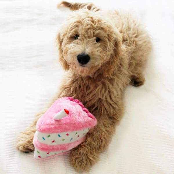 ZippyPaws Birthday Cake Plush Dog Toy - Cute & Durable Interactive Puppy Chew Toy for Small & Medium Dogs - Perfect for Birthday Parties, Training Rewards & Playtime Fun
