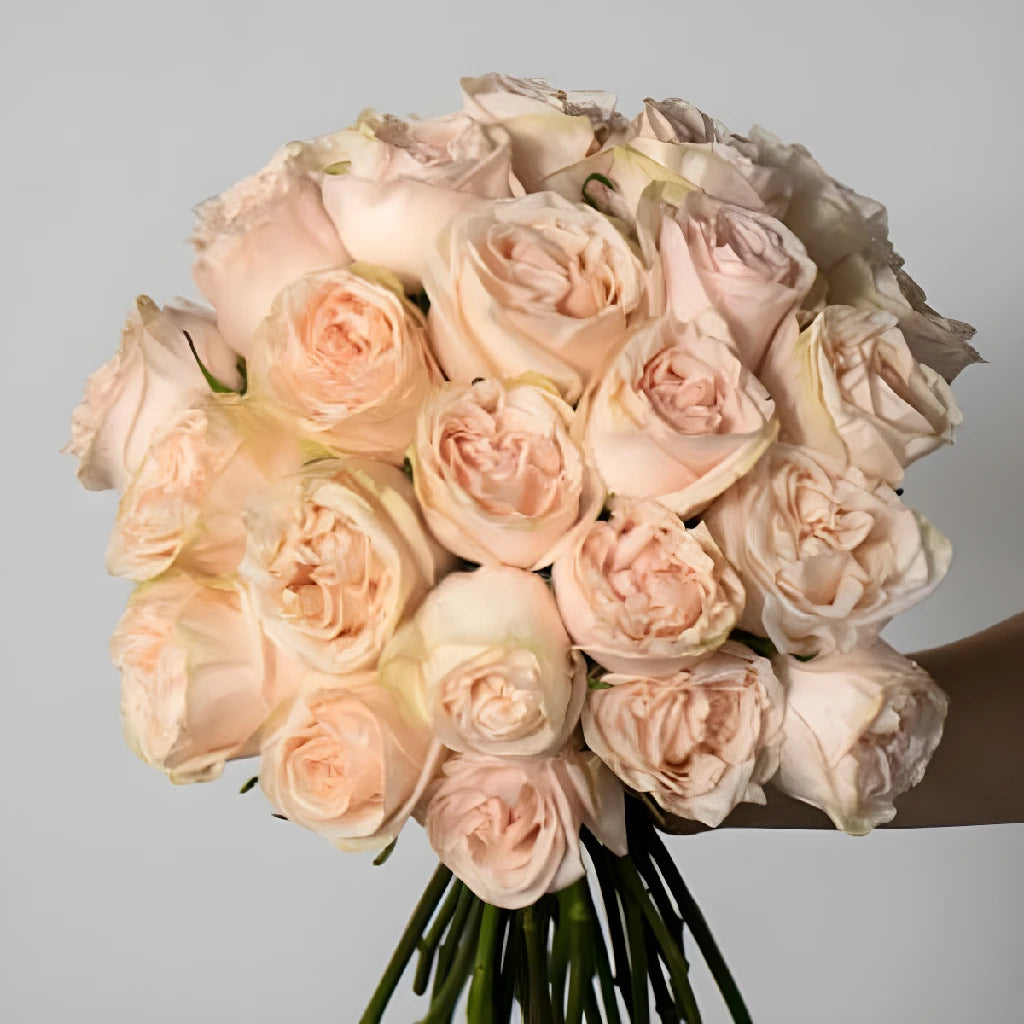 Blushing Garden Spirit Rose Bouquet - Fresh Long Lasting Roses for Home Decor, Wedding Centerpieces & Romantic Gifts