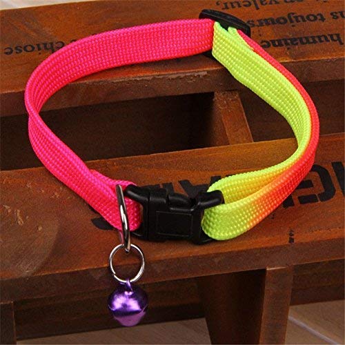 Rainbow Nylon Dog Collar & Leash Set for Puppies - Outdoor Walking