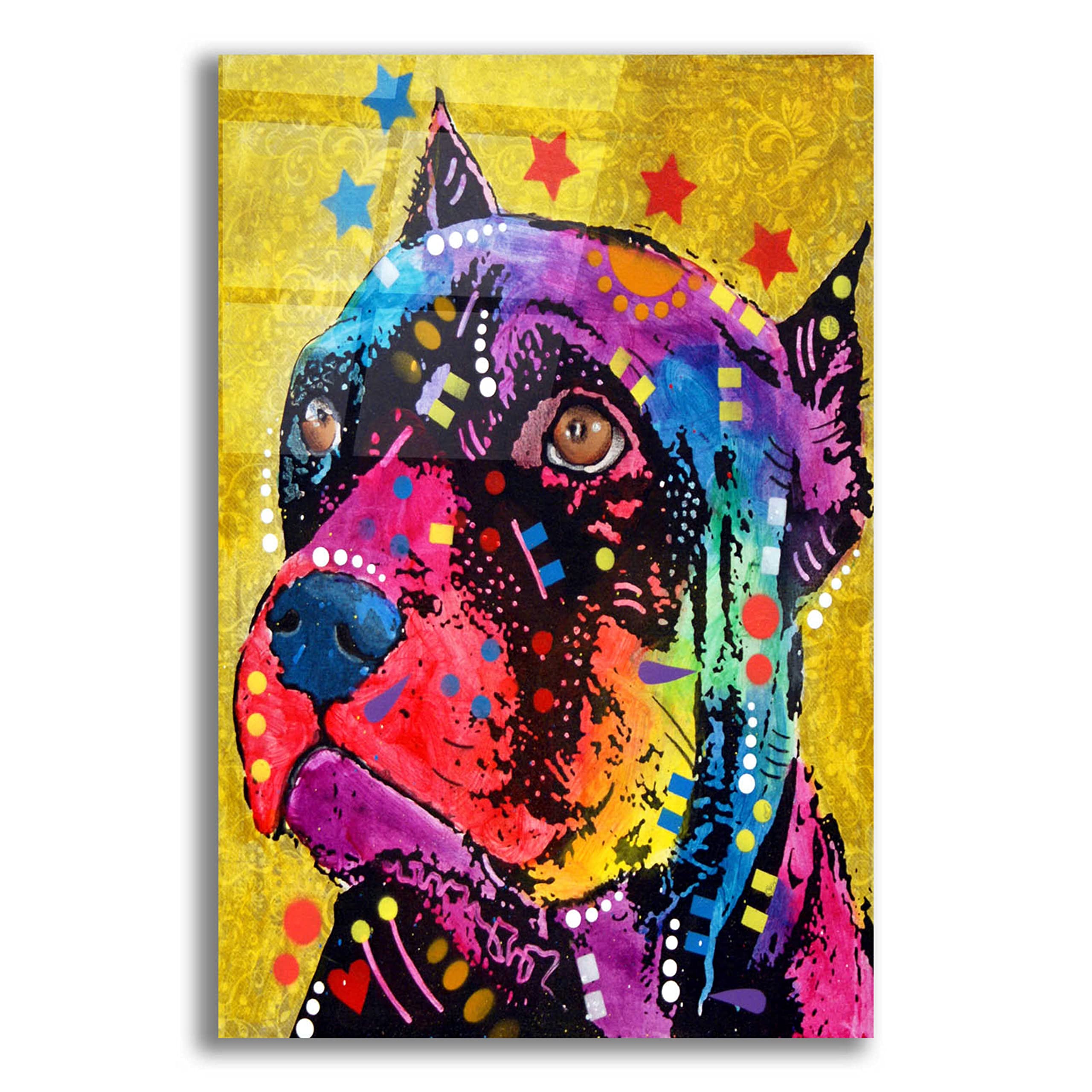 Dean Russo 'Bri 1' Acrylic Glass Wall Art - 16x24 Inch Modern Abstract Painting for Living Room, Bedroom & Office Decor