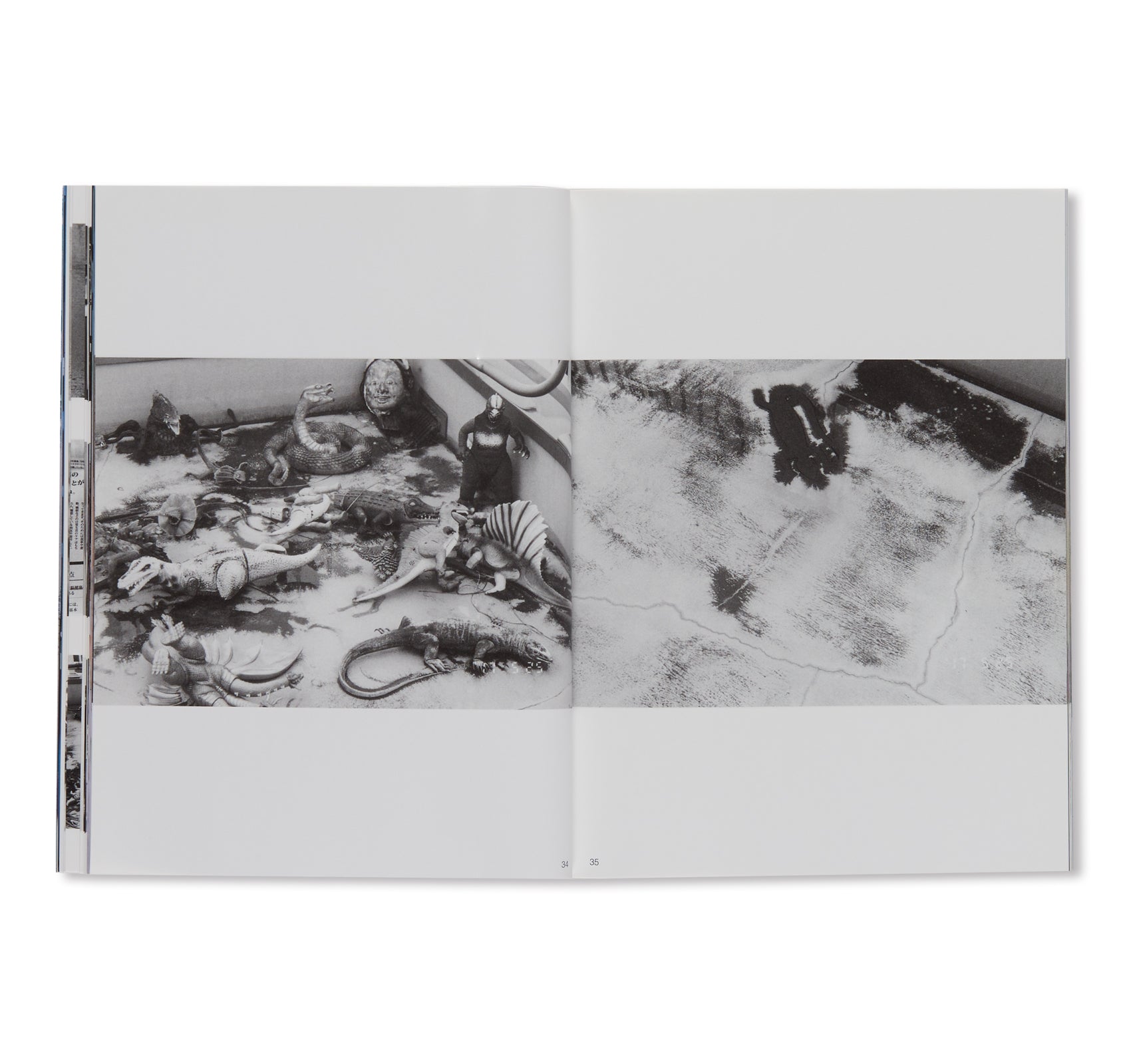 Nobuyoshi Araki Photo Book: 'Photo Mad Old Man Turning 77 on 5.25.17' - Limited Edition Photography Collection for Art Lovers & Collectors - Perfect for Home Decor, Gallery Displays & Photography Enthusiasts