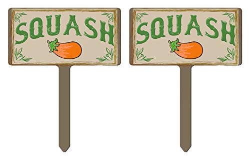 Squash
