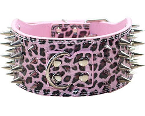 Pink Leopard
