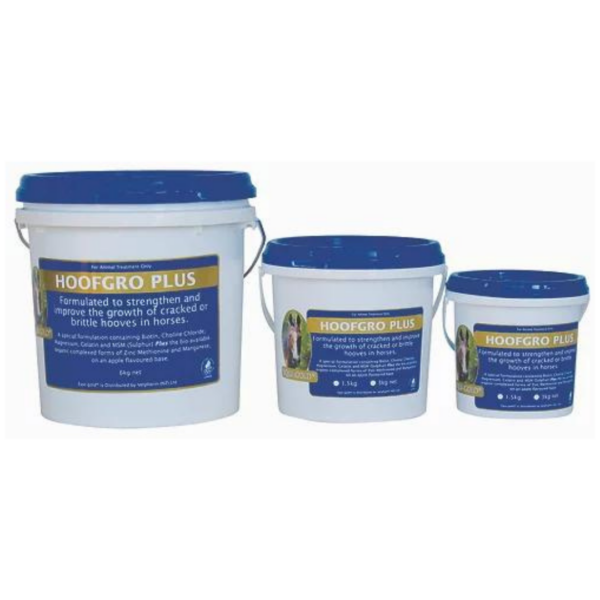 EquiGold Hoof Gro Plus - 20KG Horse Hoof Supplement for Stronger, Healthier Hooves | Promotes Growth & Repair | Ideal for Horses, Ponies, and Equine Care