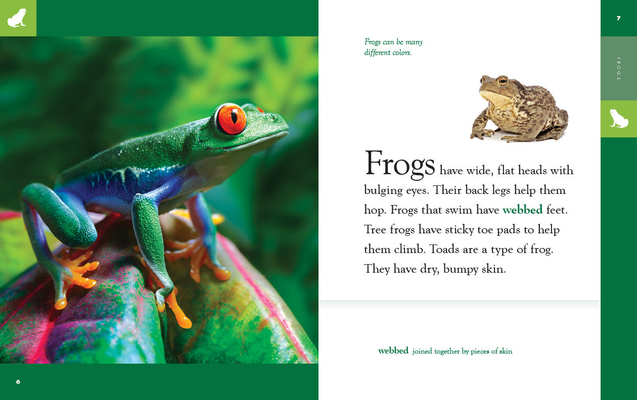 Frogs Book 9781640265646 - Educational Wildlife Guide for Kids & Nature Enthusiasts - Perfect for Classroom Learning & Home Library