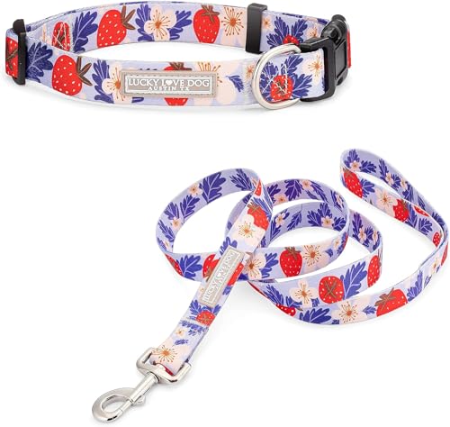 SweetBerry Collar/Leash Combo