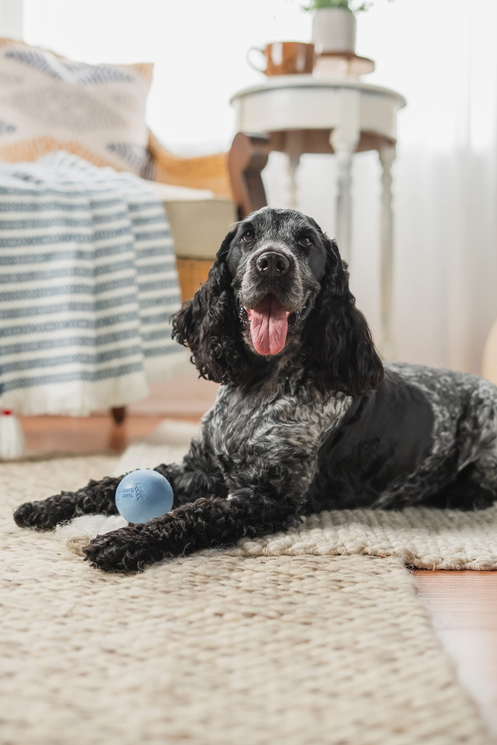 Harry Barker Durable Rubber Balls and Chew Toys for Dogs - 6 Pack of 2.5