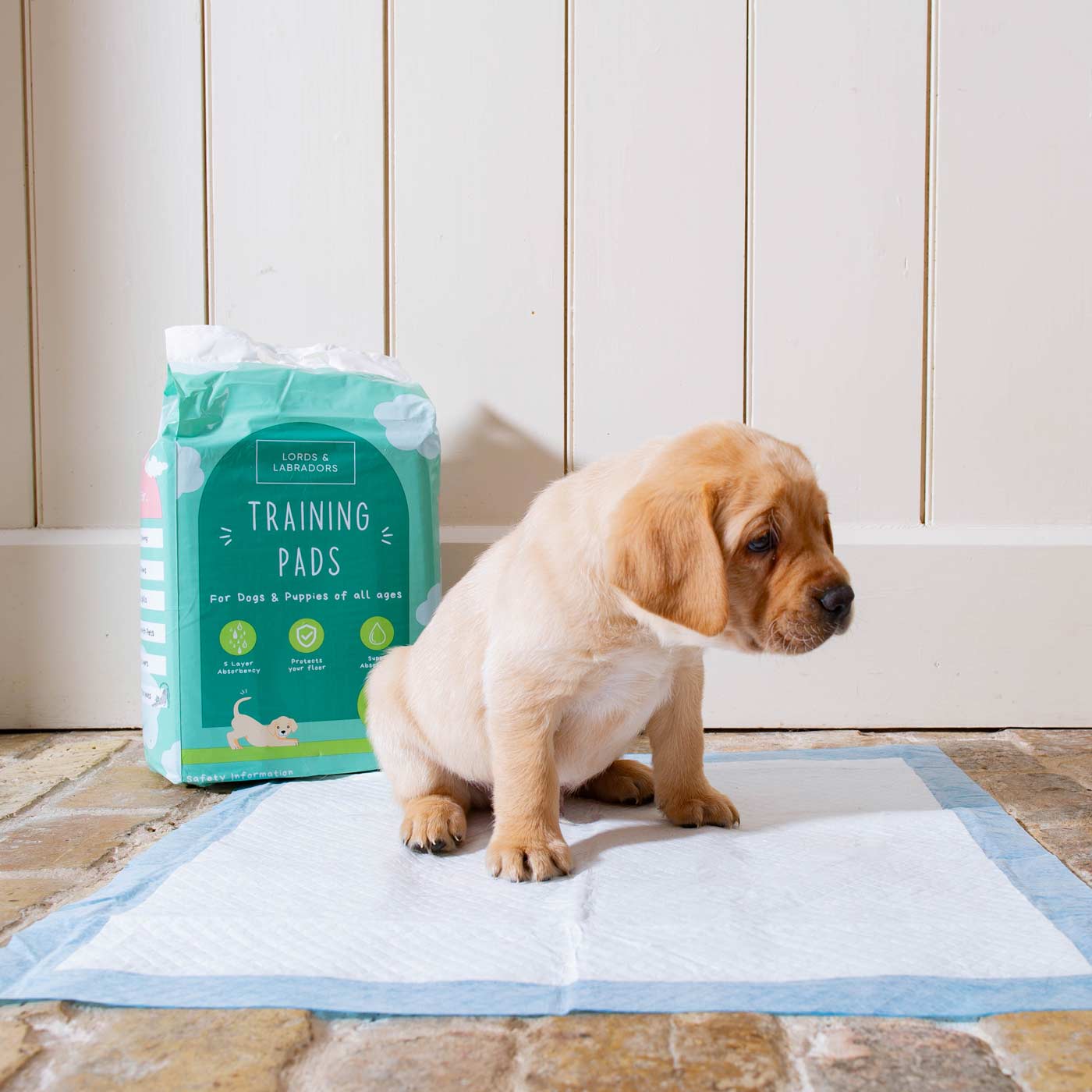 Premium Puppy Training Pads - Super Absorbent Leak Proof Triple Pack for Small & Large Dogs - Perfect for Housebreaking, Crate Training & Travel Use