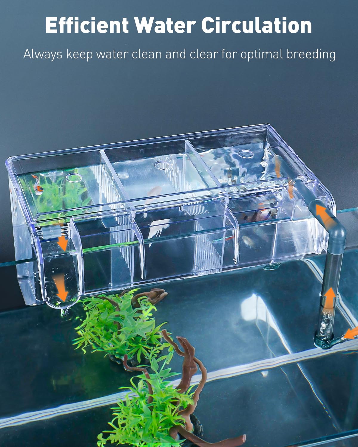 Pawfly Acrylic Aquarium Breeding Box - Fish Tank Hatchery & Incubator for Guppy, Betta, and Aggressive Fish - Perfect for Safe Fry Rearing and Fish Separation in Home Aquariums
