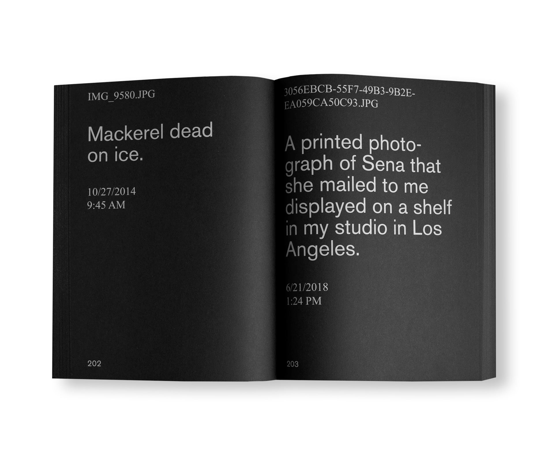 NOSTALGIA (2022) by David Horvitz - Signed Limited Edition Art Book | Perfect for Contemporary Art Collectors & Photography Enthusiasts