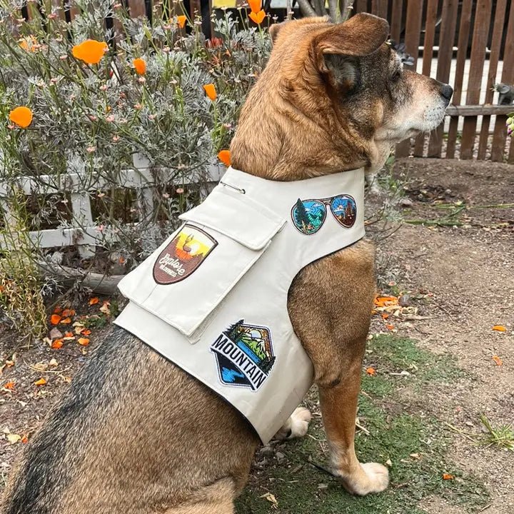 Best Khaki Camp Harness Vest for Dogs - Durable & Adjustable Outdoor Adventure Gear for Hiking, Camping & Training