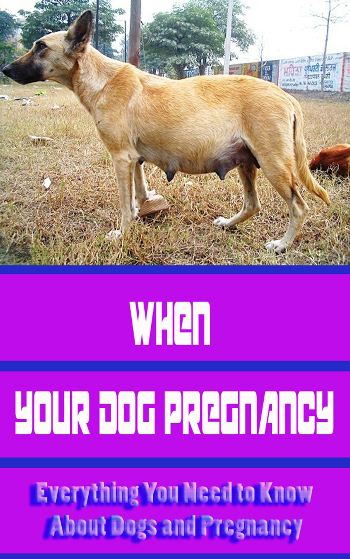 Dog Pregnancy Guide: Essential Tips for Caring for Your Pregnant Dog | Pregnancy Signs, Nutrition & Whelping Advice | Perfect for Breeders & Pet Owners