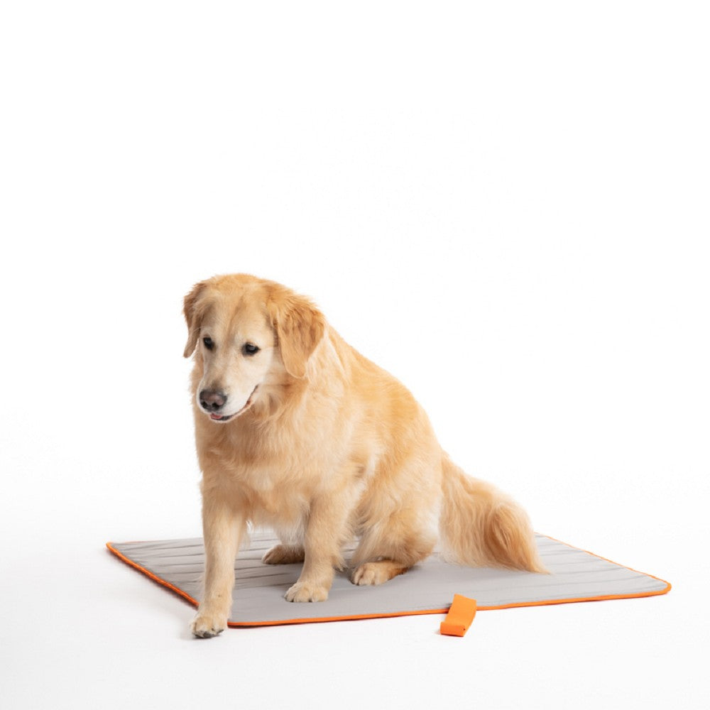 Anywhere Cool Mat - Portable Cooling Pad for Hot Weather, Travel, Office & Home Use | Stay Comfortable Anywhere