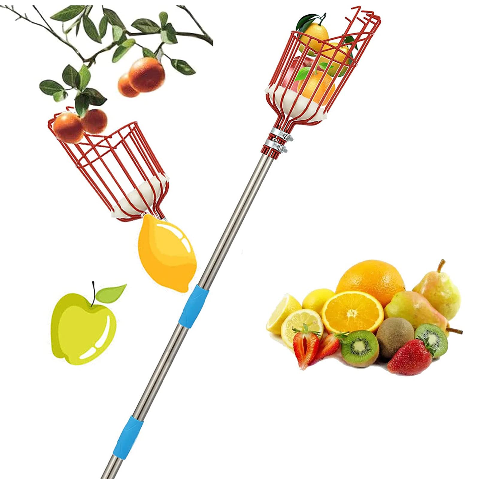Stainless Steel Fruit Picker with Detachable Pole - Durable Fruit Harvesting Tool for Apples, Pears, and Oranges - Perfect for Home Gardeners and Orchard Workers