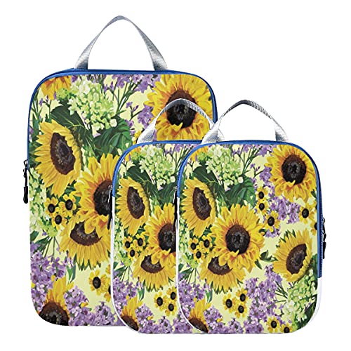 Sunflower 08