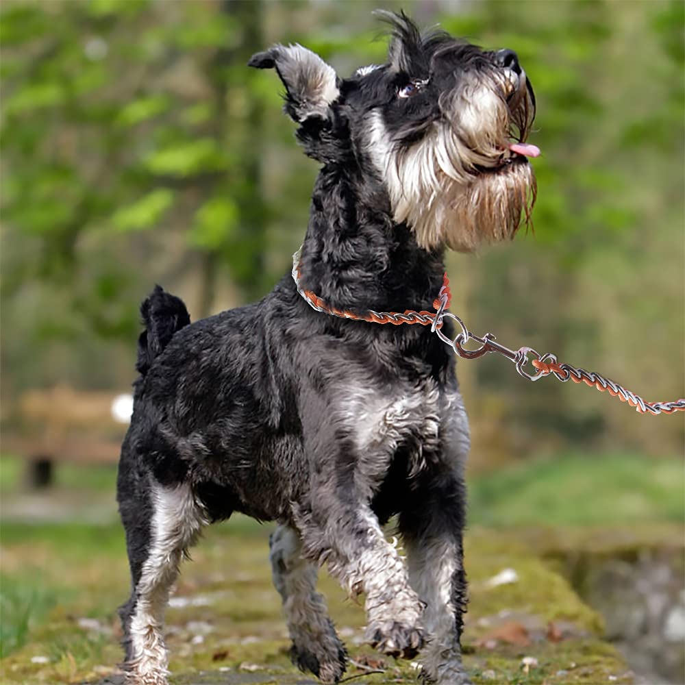 TSPRO Heavy Duty Metal Dog Collar - Chew Proof Stainless Steel Adjustable Collar for Small Dogs (3MM*13-15 inches, Orange) - Perfect for Training, Walking & Outdoor Adventures