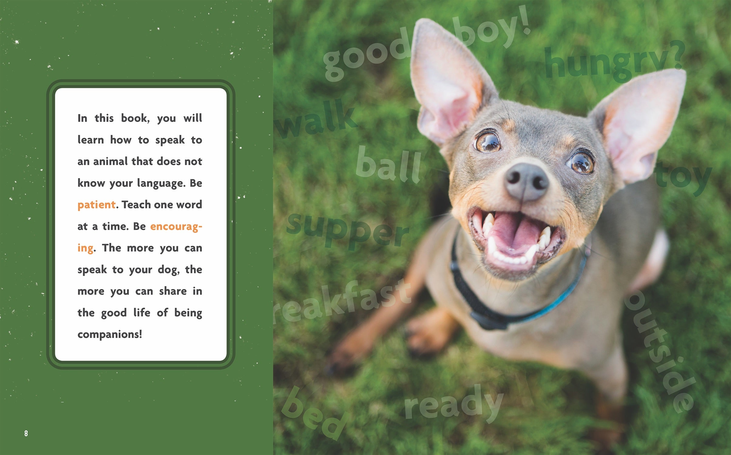 Dog's Life: How to Communicate with Your Dog - Training Tips & Bonding Activities for Pet Owners