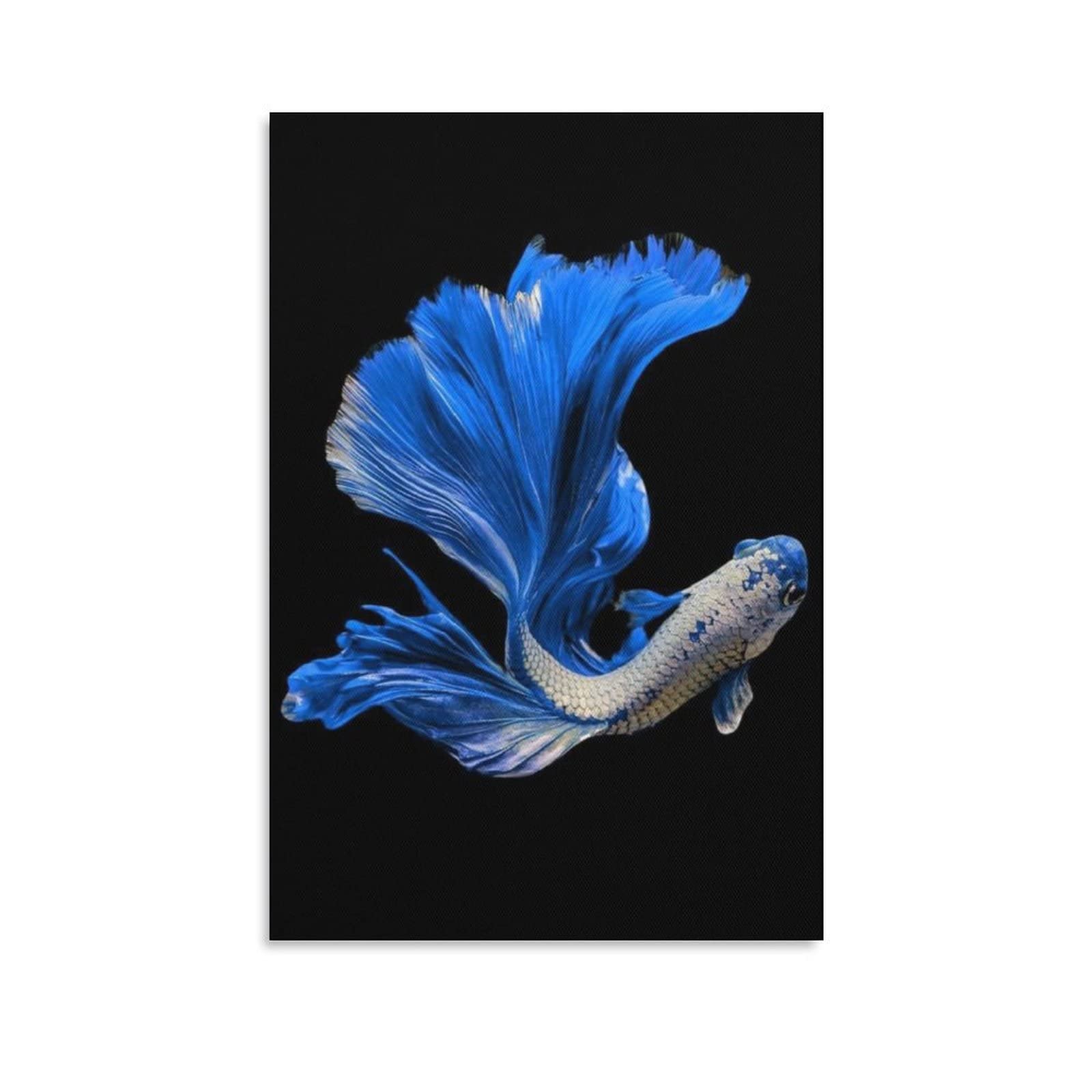 Vibrant Blue Betta Fish Canvas Wall Art - 20x30 Inches (50x75cm) Modern Home Decor for Living Room, Bedroom & Office - Perfect Gift for Fish Lovers & Nature Enthusiasts | Ideal for Home Styling, Interior Design & Wall Decoration