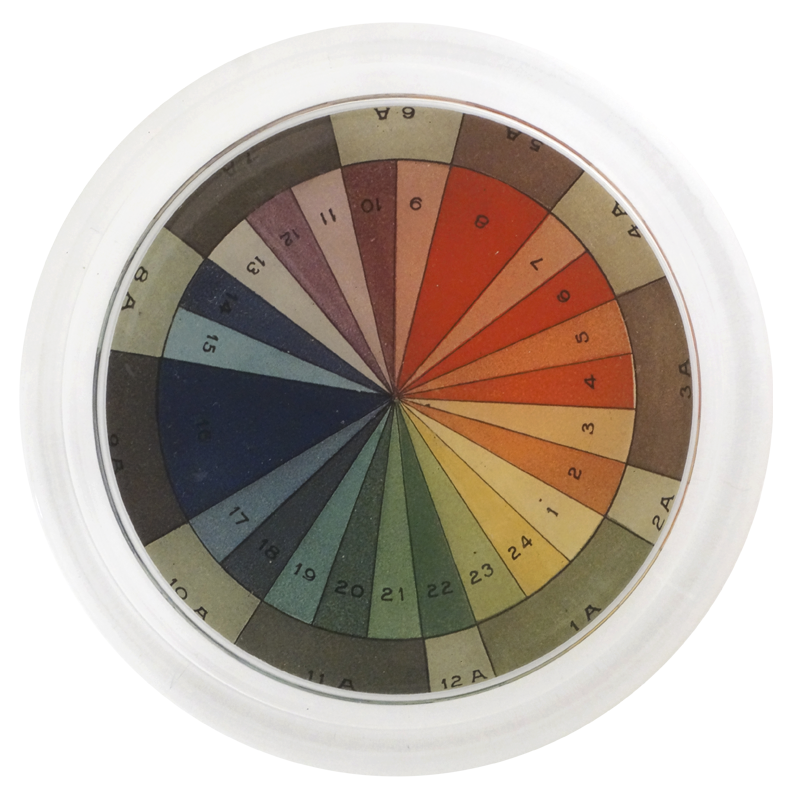 Color Wheel for Artists & Designers - 12-Segment Color Mixing Guide for Painting, DIY Crafts & Home Decor | Perfect for Beginners & Professionals