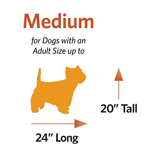 Midwest Homes for Pets Plush Ombre Swirl Dog Bed & Cat Bed - Gray 29x21x2 Inches, Medium Size Pet Bed for Dogs & Cats, Washable & Orthopedic Support - Perfect for Living Room, Bedroom, or Crate Use