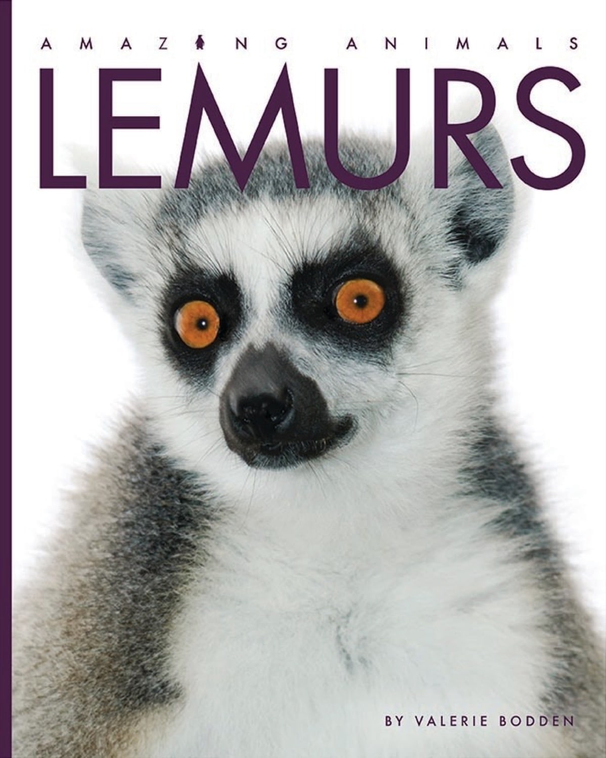 Amazing Animals (2014) - Lemurs Documentary | Wildlife Nature Film | Perfect for Animal Lovers & Classroom Education