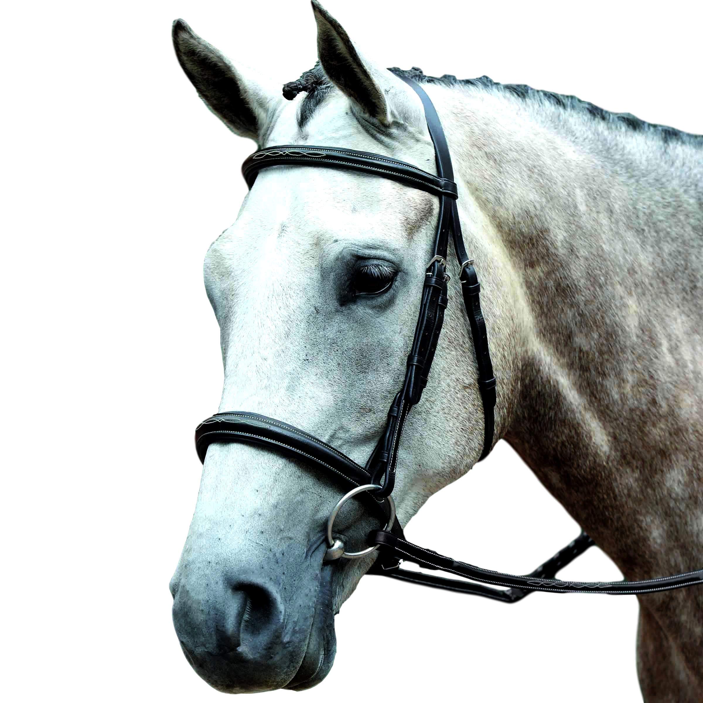 Premium Padded Raised Fancy Stitched Cavesson Bridle for Horses - Comfortable Brown Leather Cob Size - Ideal for Dressage, Show Jumping & Equestrian Training